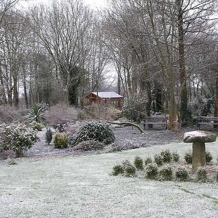 Moonarch Bed And Breakfast Kilkenny Exterior foto