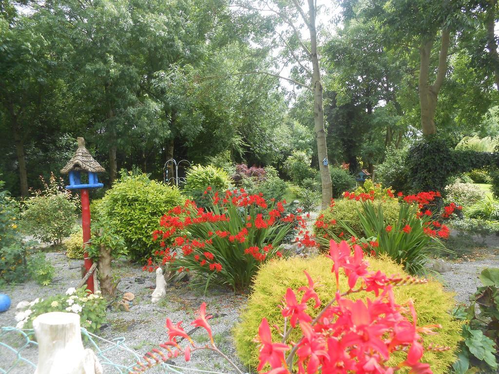 Moonarch Bed And Breakfast Kilkenny Exterior foto