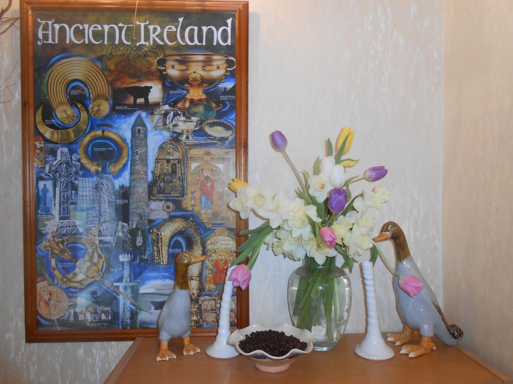 Moonarch Bed And Breakfast Kilkenny Exterior foto