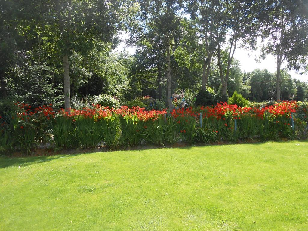 Moonarch Bed And Breakfast Kilkenny Exterior foto