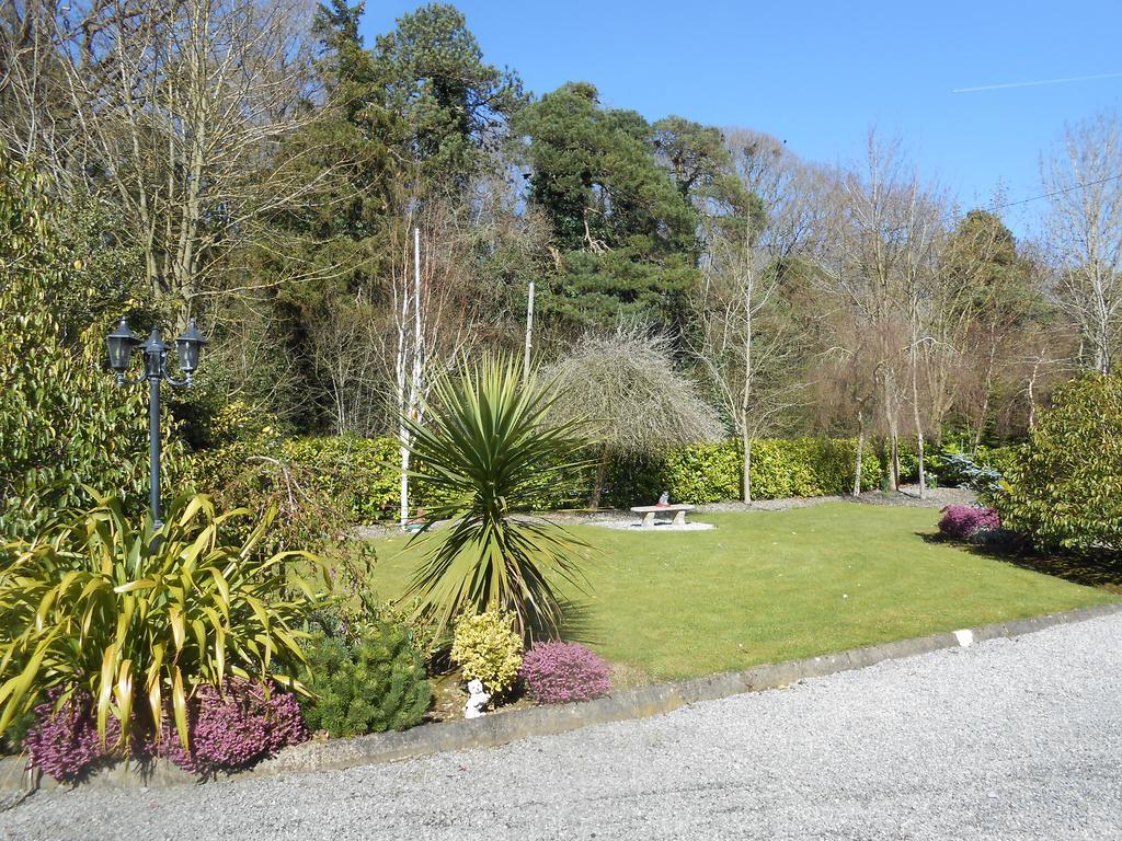 Moonarch Bed And Breakfast Kilkenny Exterior foto