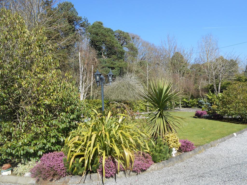 Moonarch Bed And Breakfast Kilkenny Exterior foto