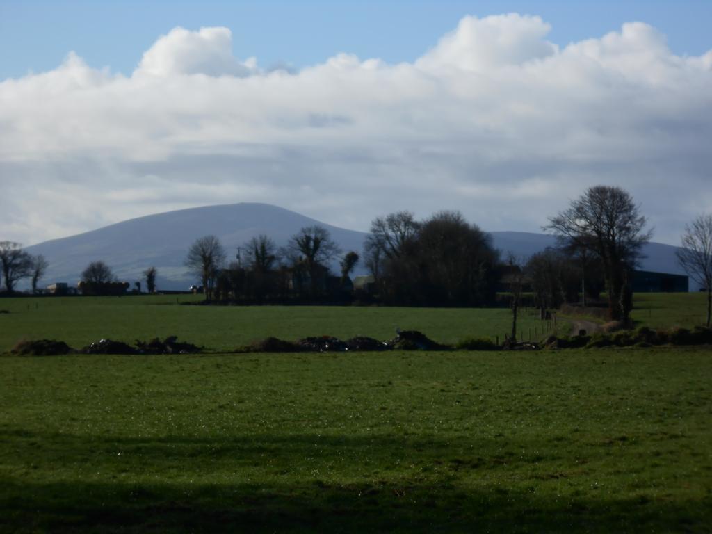 Moonarch Bed And Breakfast Kilkenny Exterior foto