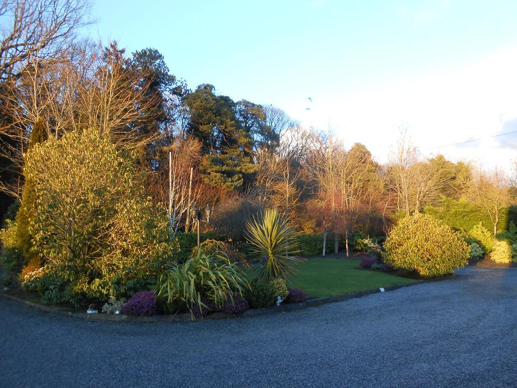 Moonarch Bed And Breakfast Kilkenny Exterior foto