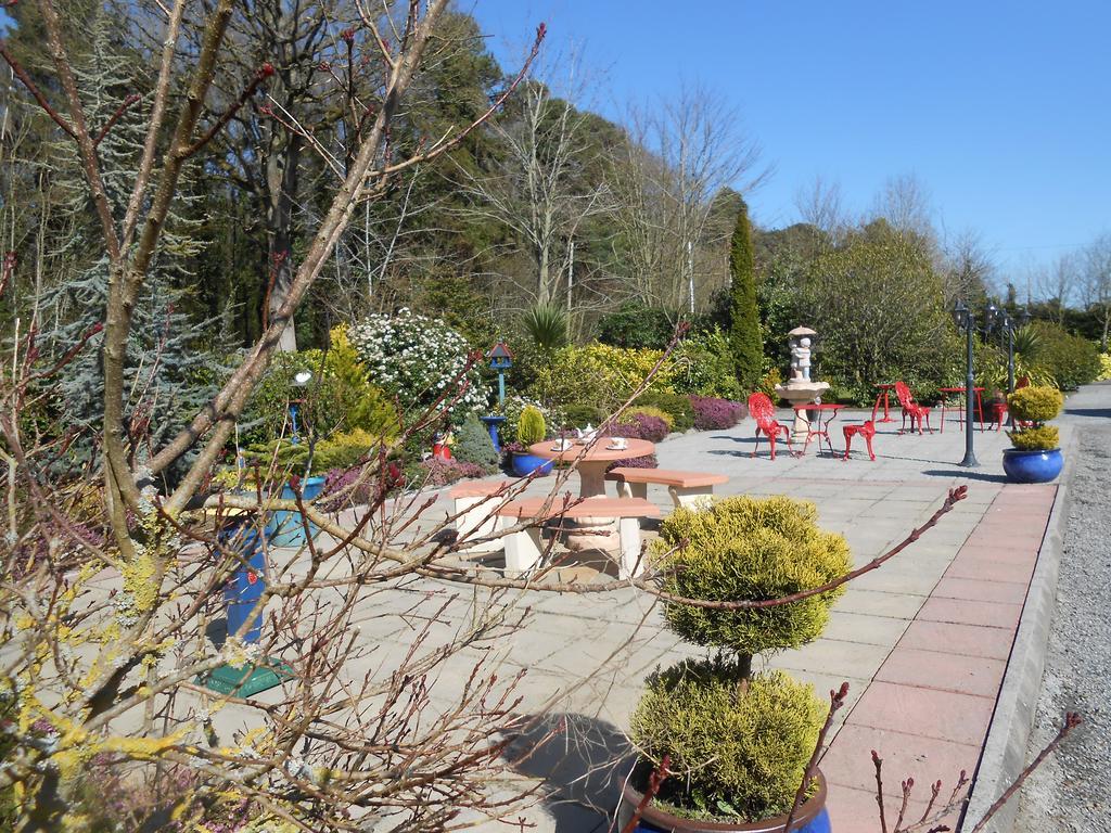 Moonarch Bed And Breakfast Kilkenny Exterior foto