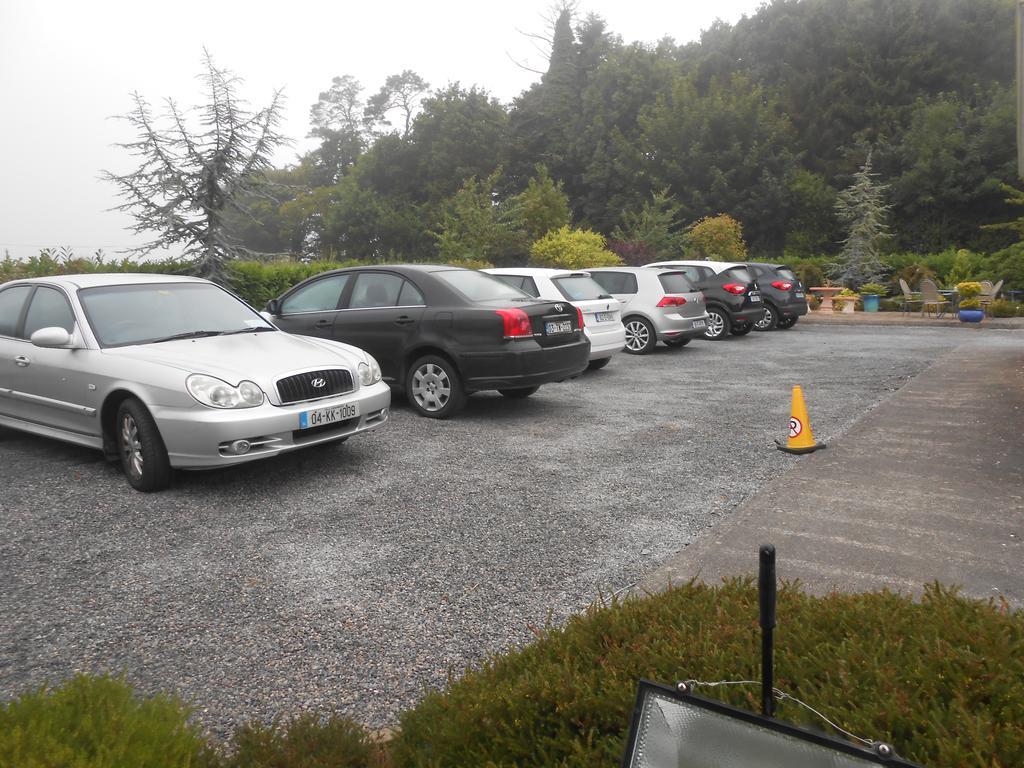 Moonarch Bed And Breakfast Kilkenny Exterior foto