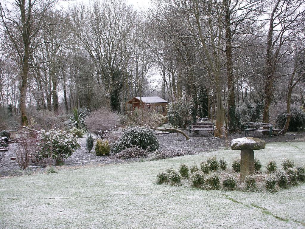 Moonarch Bed And Breakfast Kilkenny Exterior foto